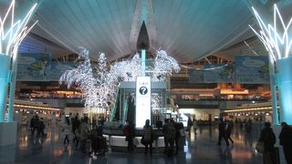 最後のスカイイルミネーションを見学