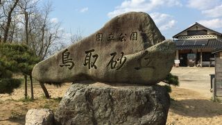 予想以上の大きさ