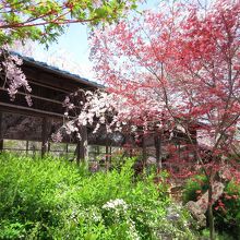 お弁当も売ってます。食事ができる場所もあり（要予約もあり）