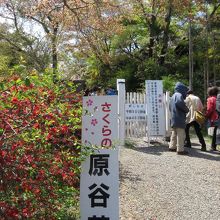 ここは東門。西門からは、わら天神行きシャトルバスも。