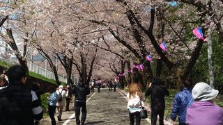 渋滞覚悟で行かないと・・・