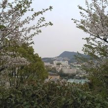 桜の木の間から港