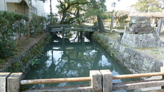 ここで琴奨菊さんの水上パレードが行われました