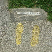 一応センサーの立ち位置が示されていますが反応は鈍いです