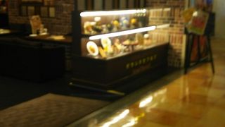 フジヤマチューリップ