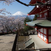 やまなし　サイタ・サイタ・サクラガサイタ　新倉山浅間神社　2016春