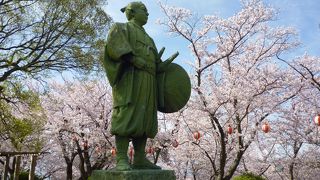 大石内蔵助氏と桜