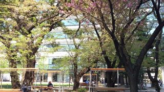 のんびりランチ