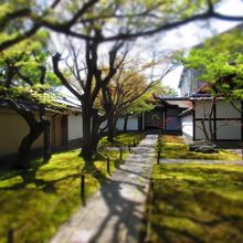 写真NG 玄関までの写真です。