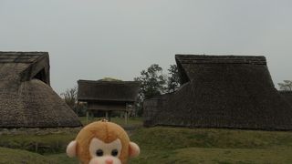 教科書にでていた