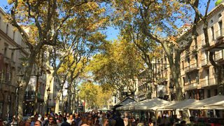 旧市街のメインストリート！！