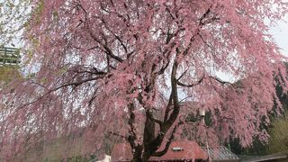 みどり市東運動公園