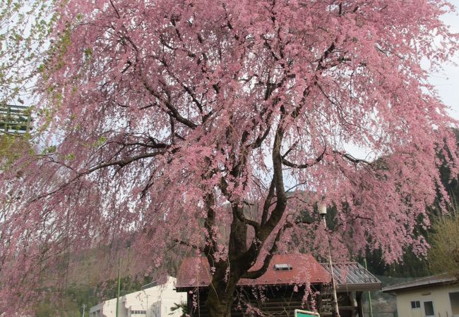 みどり市東運動公園