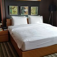 客室内部の様子