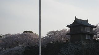 桜祭りでおおにぎわい