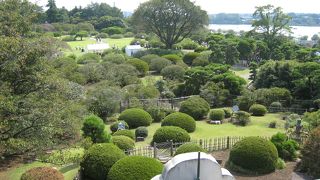 なんとも広い名庭園