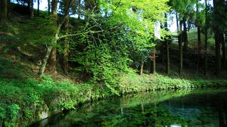 きれいな水を汲める神社