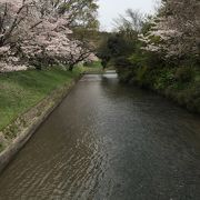 桜が有名な公園