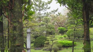 整えられた美の庭園