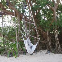 ハンモックに揺られながら読書なども