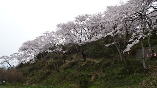 長沼城址