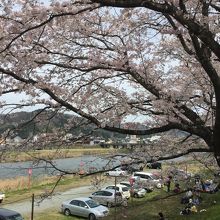無料駐車場と仮設ベンチ