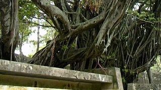 まつやまこうえん