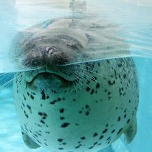 ｢気持ちよかねー｣