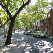 木漏れ日を浴びて散策。