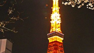 夜桜向きでは無い