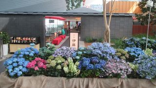 ６月は紫陽花の飾り