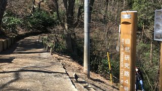 子供とハイキング