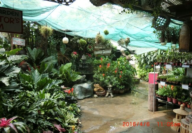 ハイデンガーデン オブ ビガン