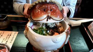 タヌキの入れ物見たさで