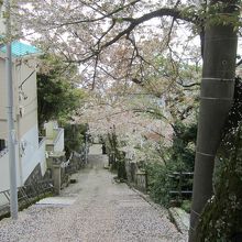 伊豆山神社前から、下方階段を見る