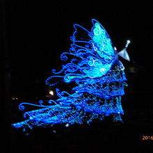 ブルーフェアリー