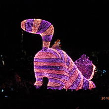 不思議の国のアリス