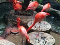 ダラス世界水族館