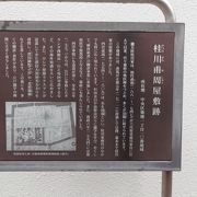 「解体新書」の翻訳と顕微鏡の普及