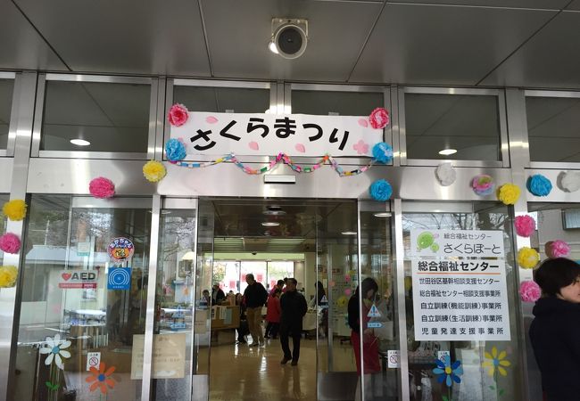 桜イベントは数多くありますが