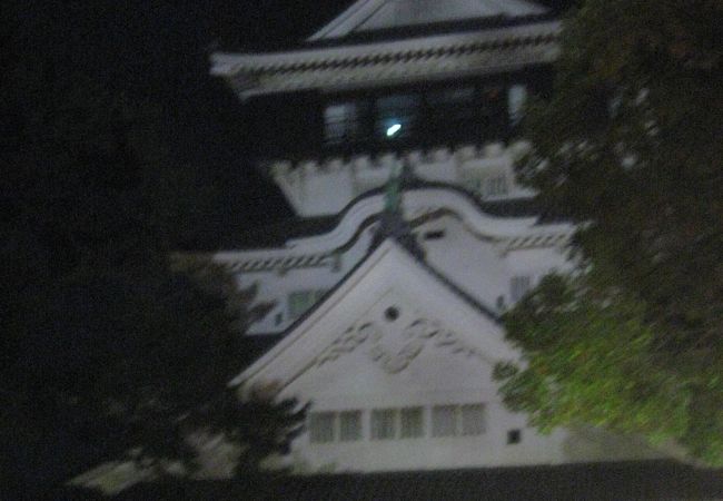 小倉城桜まつり クチコミ アクセス 営業時間 小倉 北九州市中心部 フォートラベル