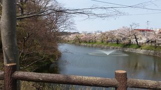 棚倉城祭りやってました。