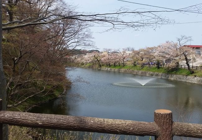棚倉城祭りやってました。