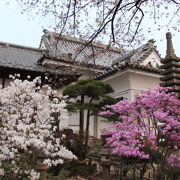 秩父札所15番・ツツジ、枝垂桜が咲く頃
