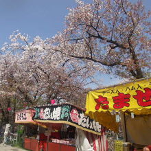 ”花より団子”の方向けの桜名所かな…