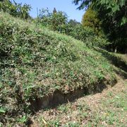 古代の山城の跡です