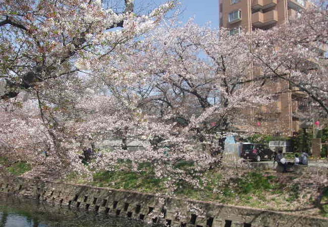 五条川沿いに色々歩いてみると良いです