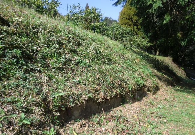 古代の山城の跡です