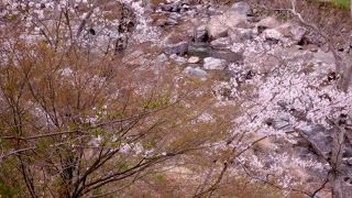 渓流遊びやハイキングも出来る