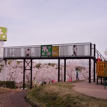 子供向けの遊具もあります